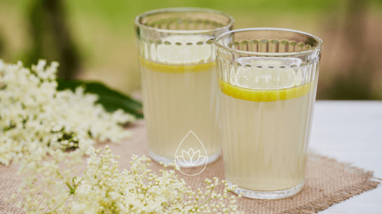 HOLUNDERBLÜTENSIRUP À LA MAMA – REZEPT ZUM SELBERMACHEN