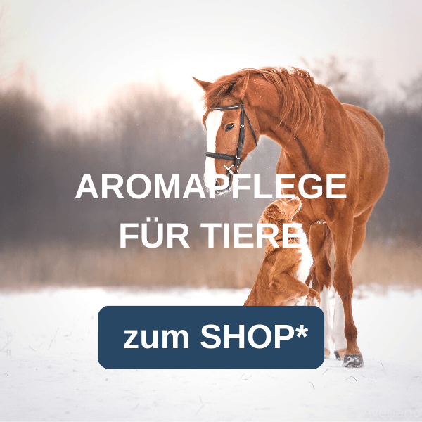 Aromapflege für Tiere bei feeling