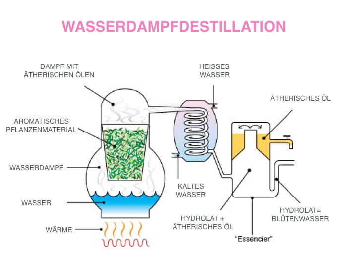 Hydrolat Herstellung