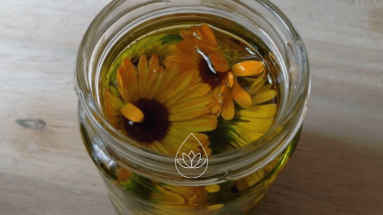 RINGELBLUMENÖL GANZ EINFACH SELBERMACHEN