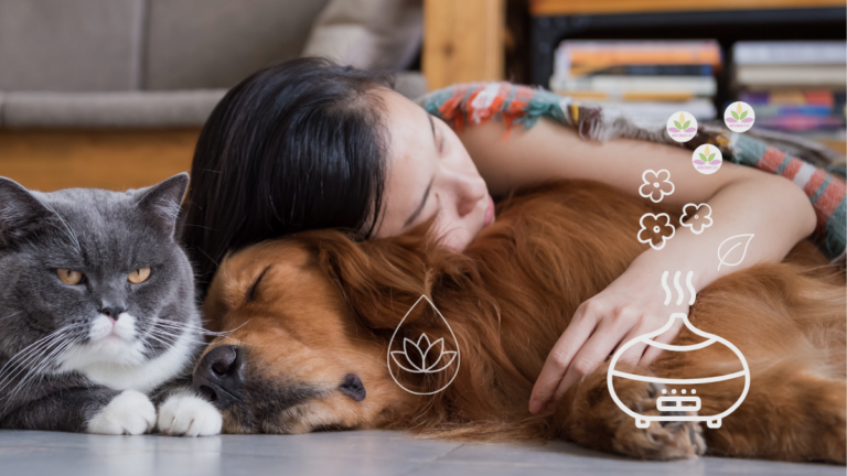 ÄTHERISCHE ÖLE FÜR TIERE RICHTIG UND SICHER ANWENDEN