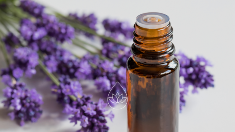 LAVENDELÖL: DAS ALLROUND-ÖL FÜR AROMATHERAPIE-EINSTEIGER